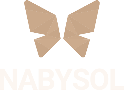 나비솔