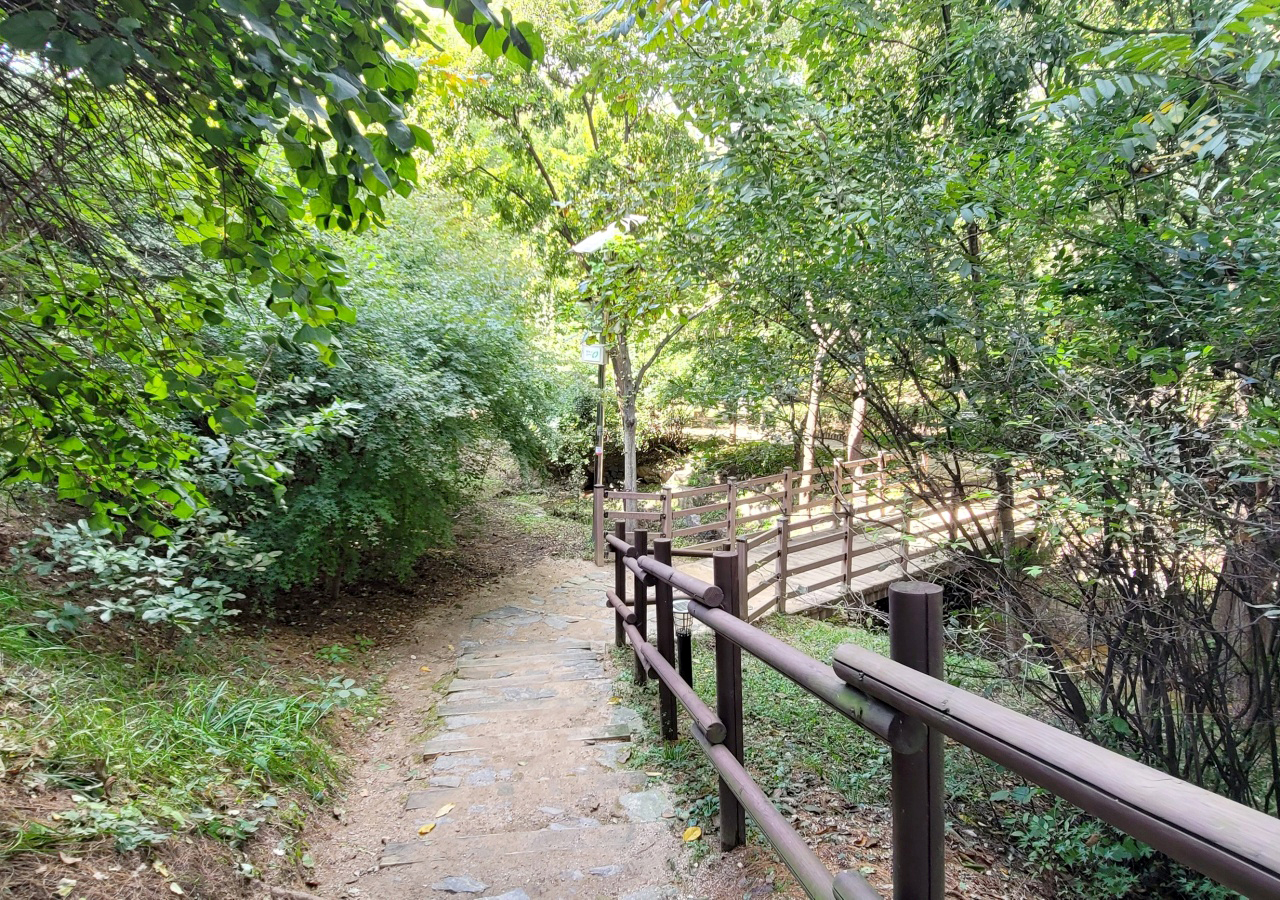 산책로 두꺼비생태공원