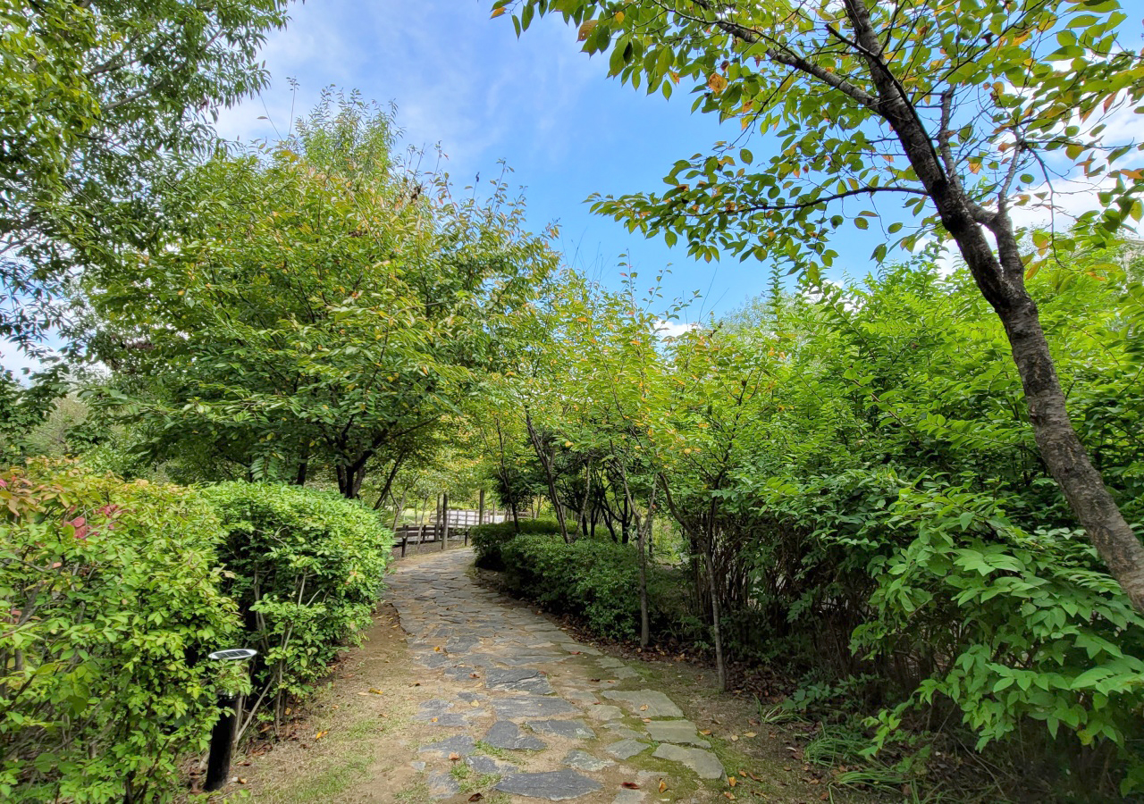 산책로 두꺼비생태공원