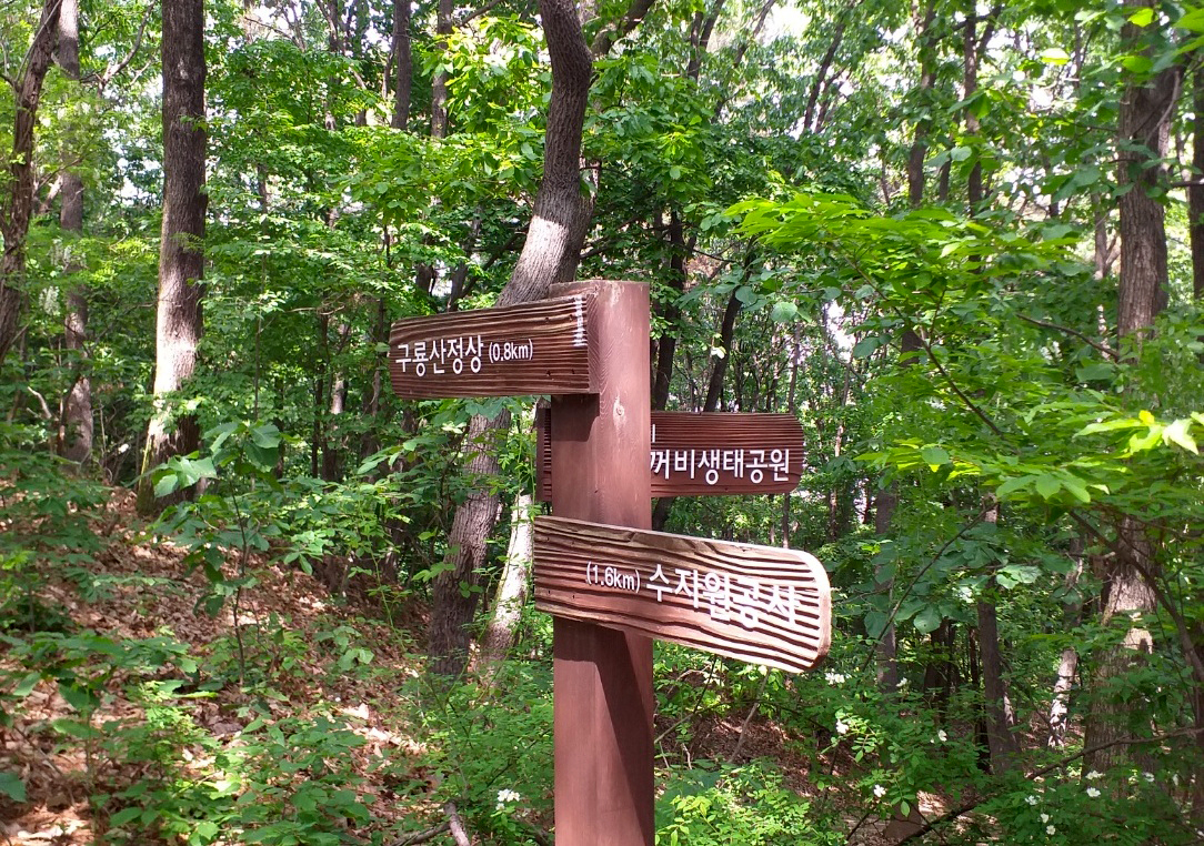 산책로 구룡산등산로