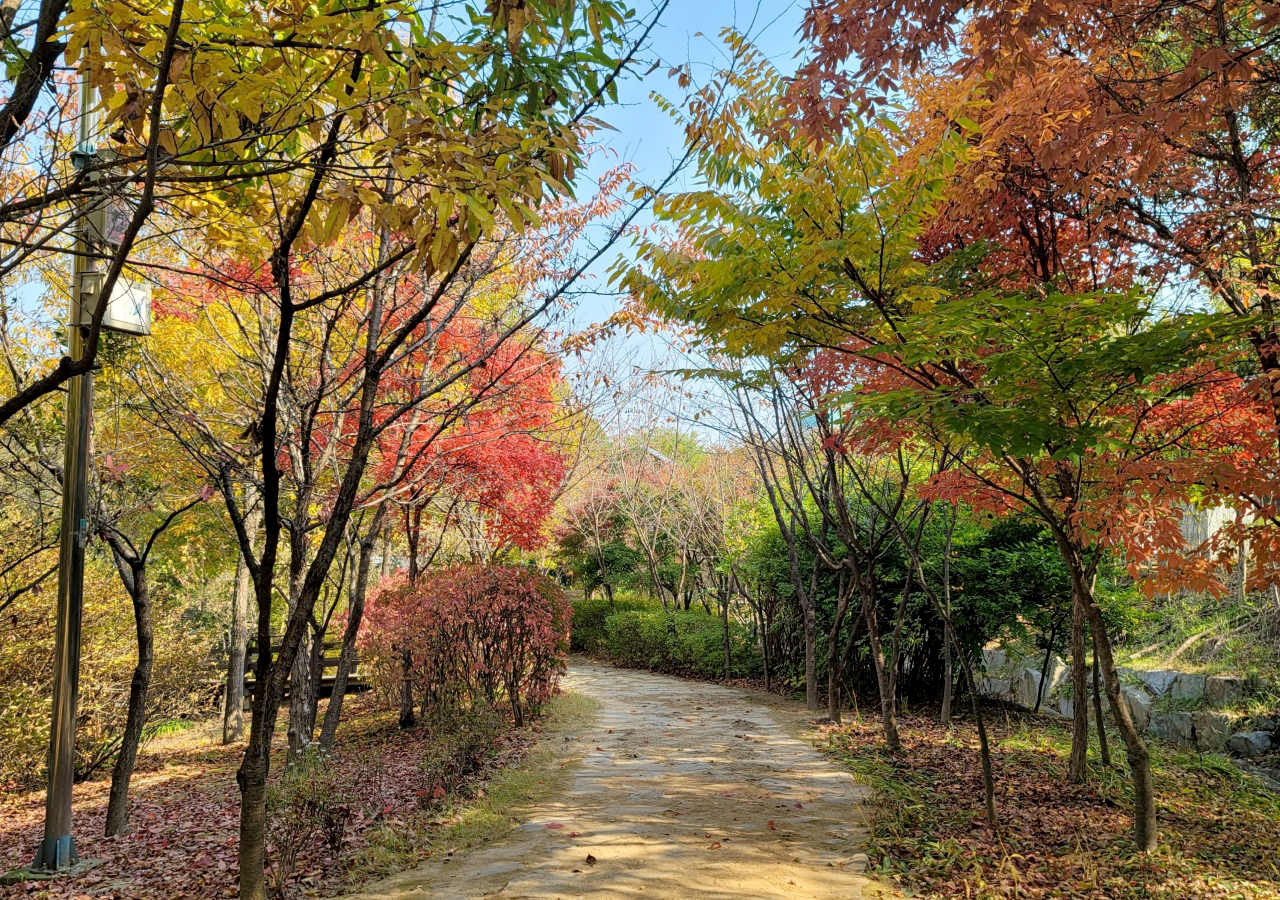 산책로 두꺼비생태공원