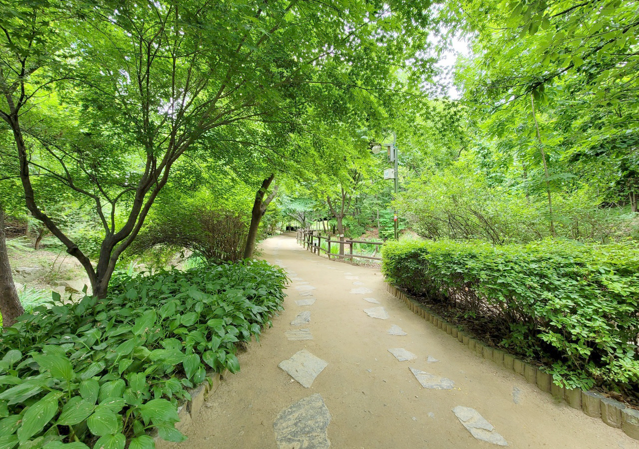산책로 두꺼비생태공원
